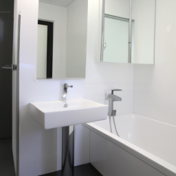 Création de Salle de Bain Spacieuse : Maximisez Votre Espace Castres